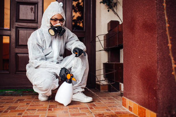 Reliable Ant Control contractor in College Park, MD by Show Me Pest Control